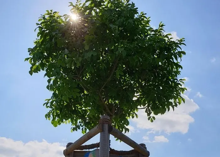 Rhoenstyle * Фладунген