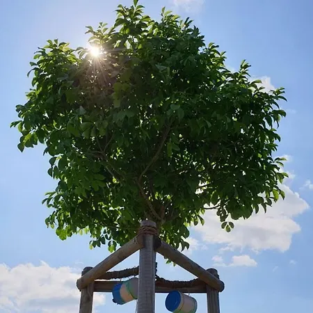 Rhoenstyle * Fladungen