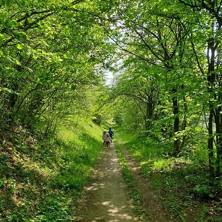 Apartamento Rhoenstyle